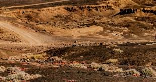 随着蓉城2-2，海港0-0，亚冠精英最新积分榜：中超三队包揽后三位